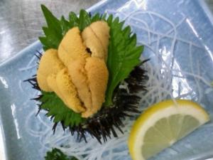 ウニの姿造り